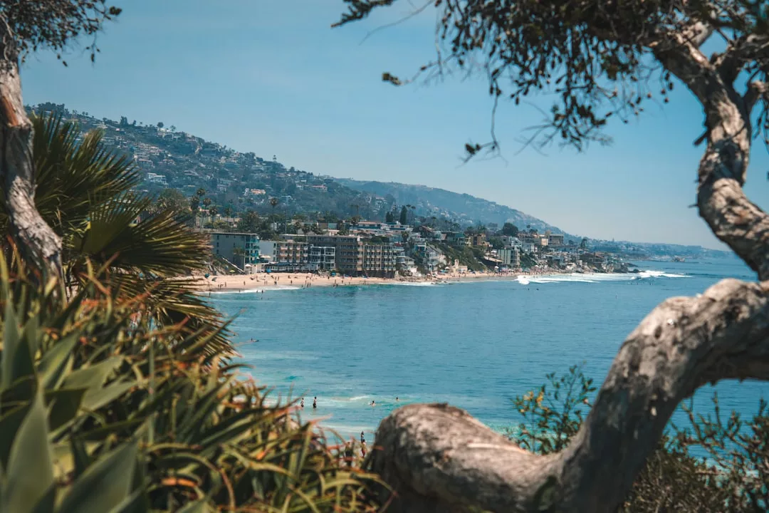 Blick auf eine Küstenstadt auf Mallorca mit Sandstrand, Häusern am Hang und klarem blauen Ozean, eingerahmt von Bäumen und Pflanzen im Vordergrund unter einem klaren Himmel.