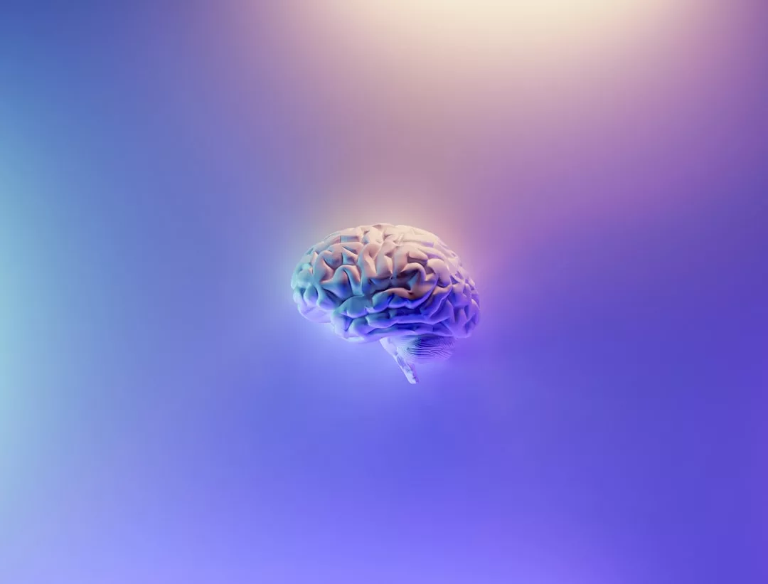 Photo Brain training