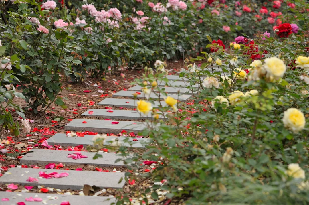 Photo Beautiful garden