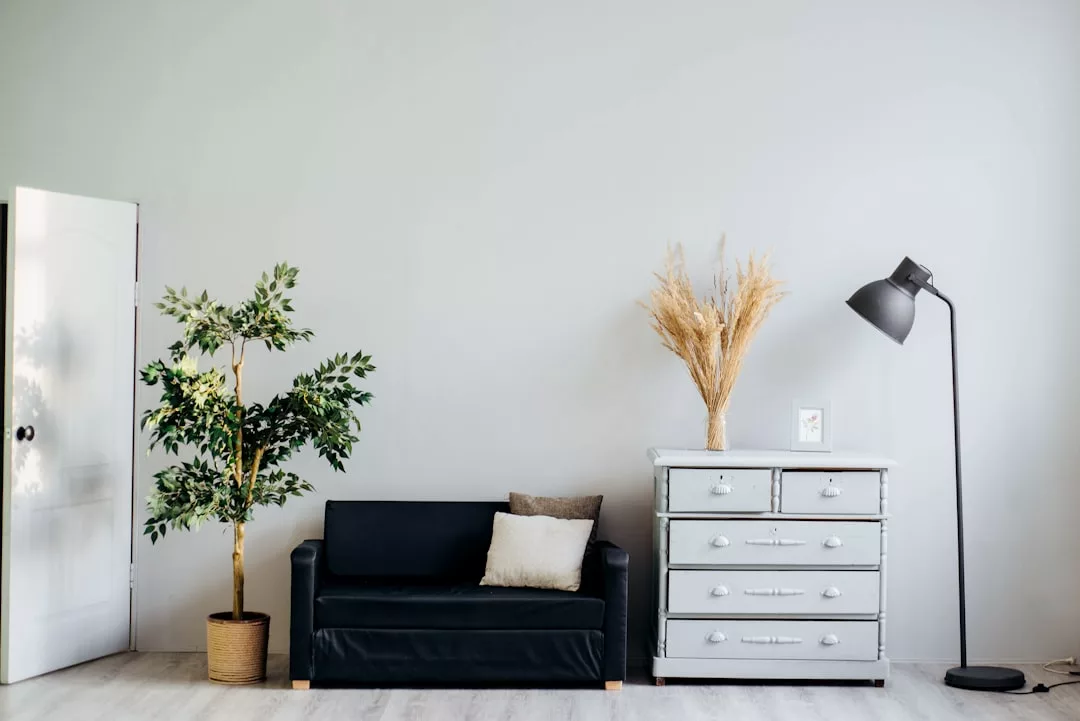 Ein minimalistisches Wohnzimmer im mallorquinischen Stil mit einem schwarzen Sofa, einer Topfpflanze, einer weißen Kommode mit getrockneten Pflanzen und einer schwarzen Stehlampe vor einer hellgrauen Wand.