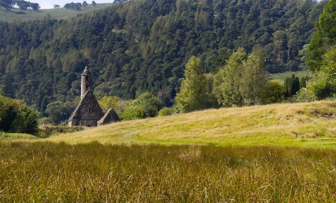 Eine Steinkirche mit einem hohen Kirchturm steht zwischen Bäumen am Rande einer Wiese auf Mallorca, im Hintergrund erhebt sich ein bewaldeter Hügel.