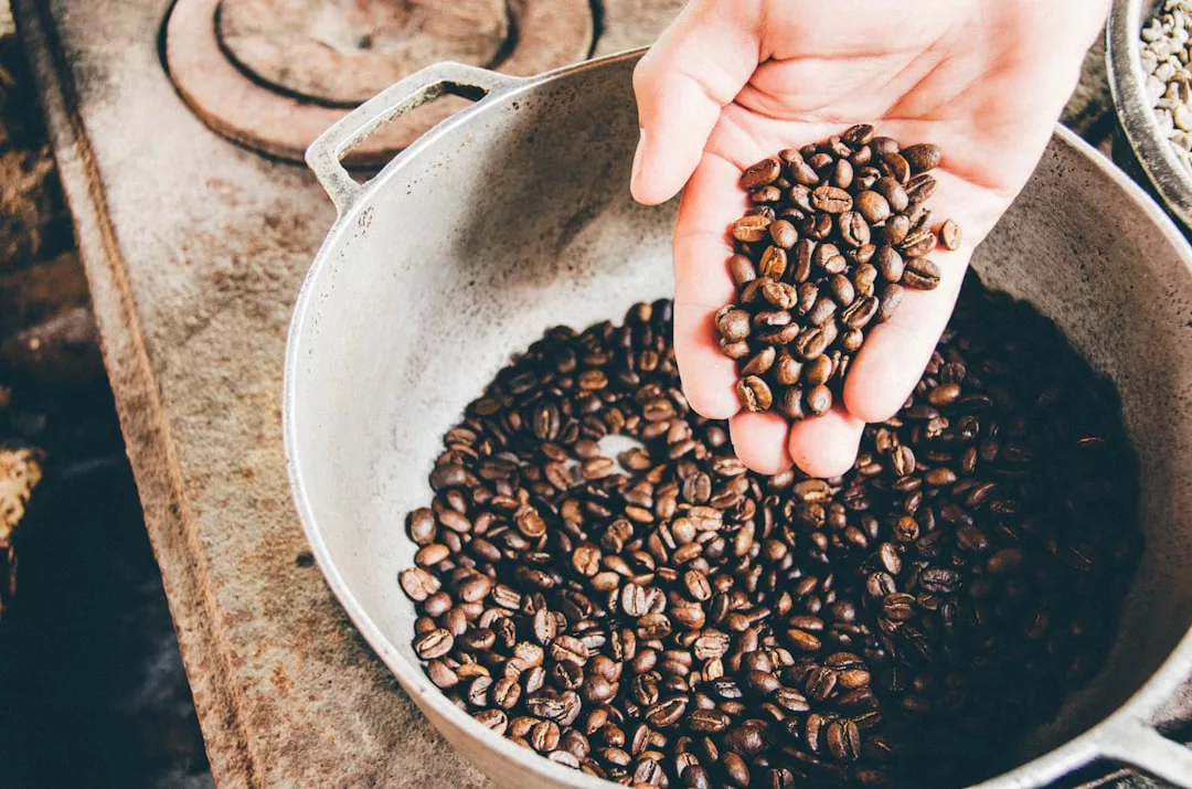 Eine Hand hält geröstete Kaffeebohnen über einen mit weiteren Kaffeebohnen gefüllten Metalltopf auf einer rustikalen Oberfläche und erinnert damit an die handwerkliche Kaffeekultur Mallorcas.