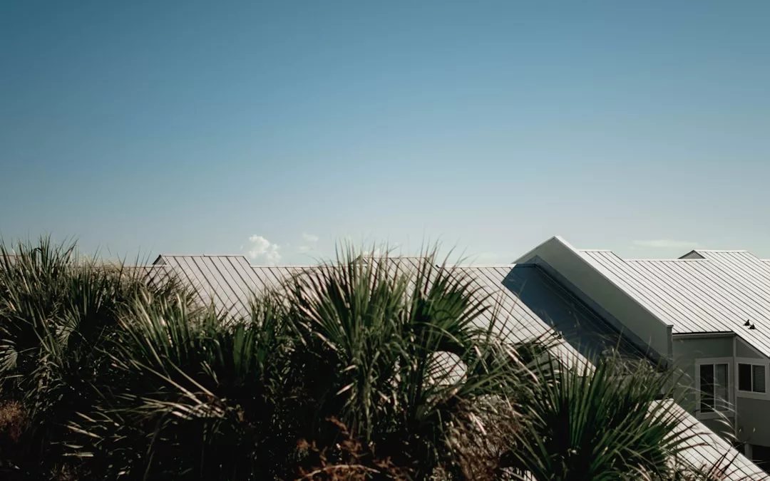 Hinter einer Gruppe von Palmen sind unter einem klaren blauen Himmel die Metalldächer der Gebäude zu sehen, die den sonnigen Charme Mallorcas hervorrufen.