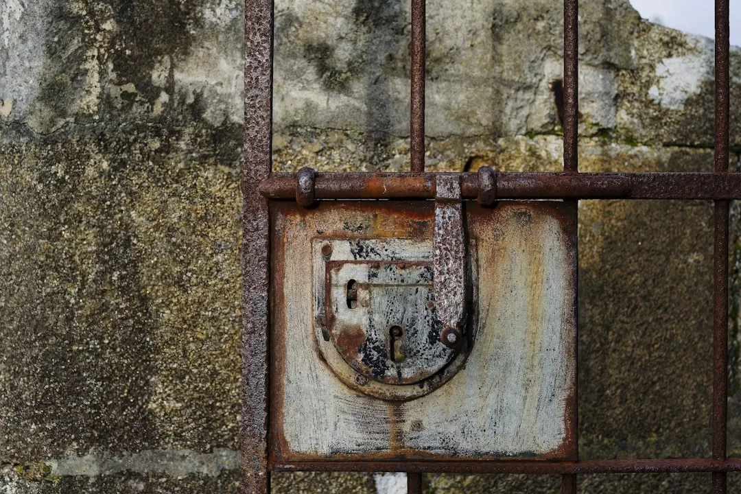Photo Security gate