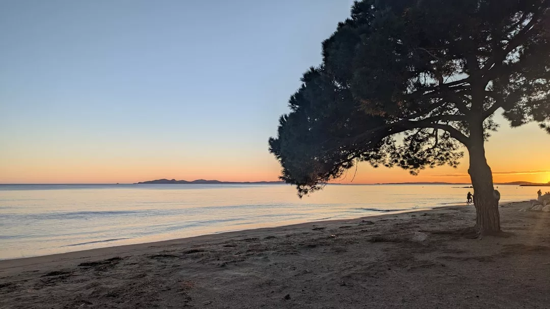 Ein ruhiger Strand auf Mallorca bei Sonnenuntergang mit einem Baum im Vordergrund, sanften Wellen, Bergen in der Ferne und ein paar Menschen, die am Ufer entlang spazieren.