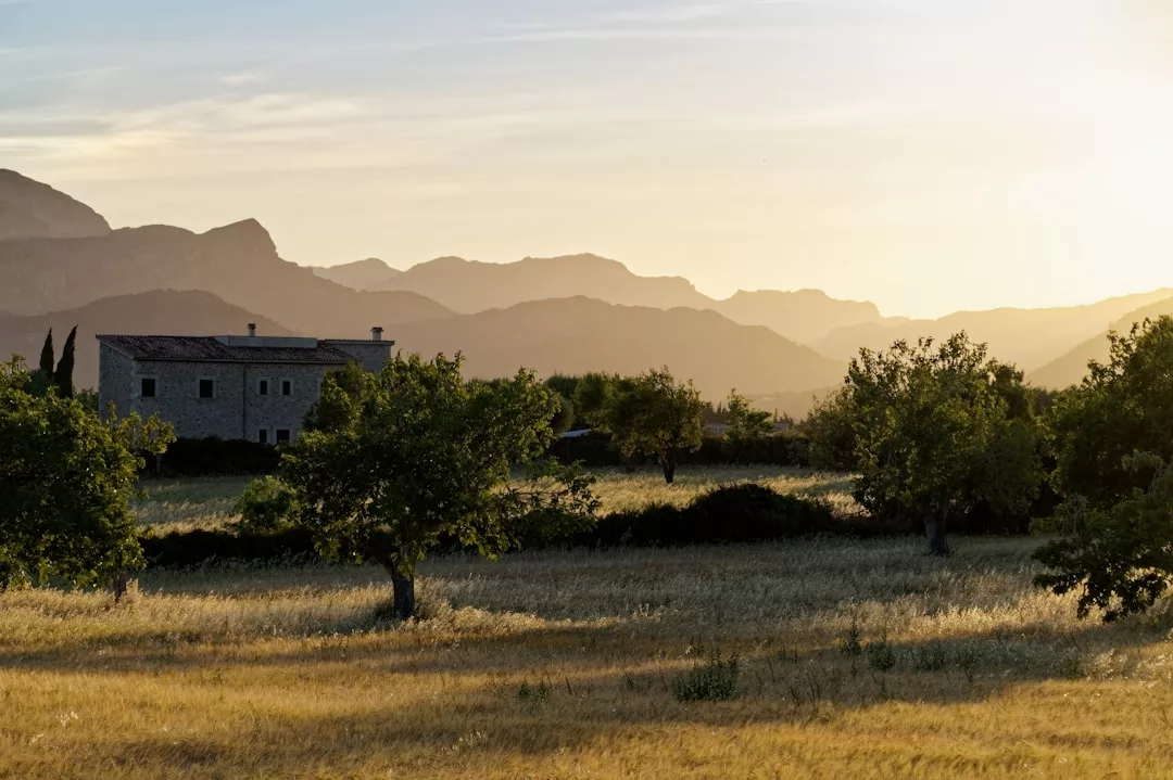 Photo Mallorca landscape