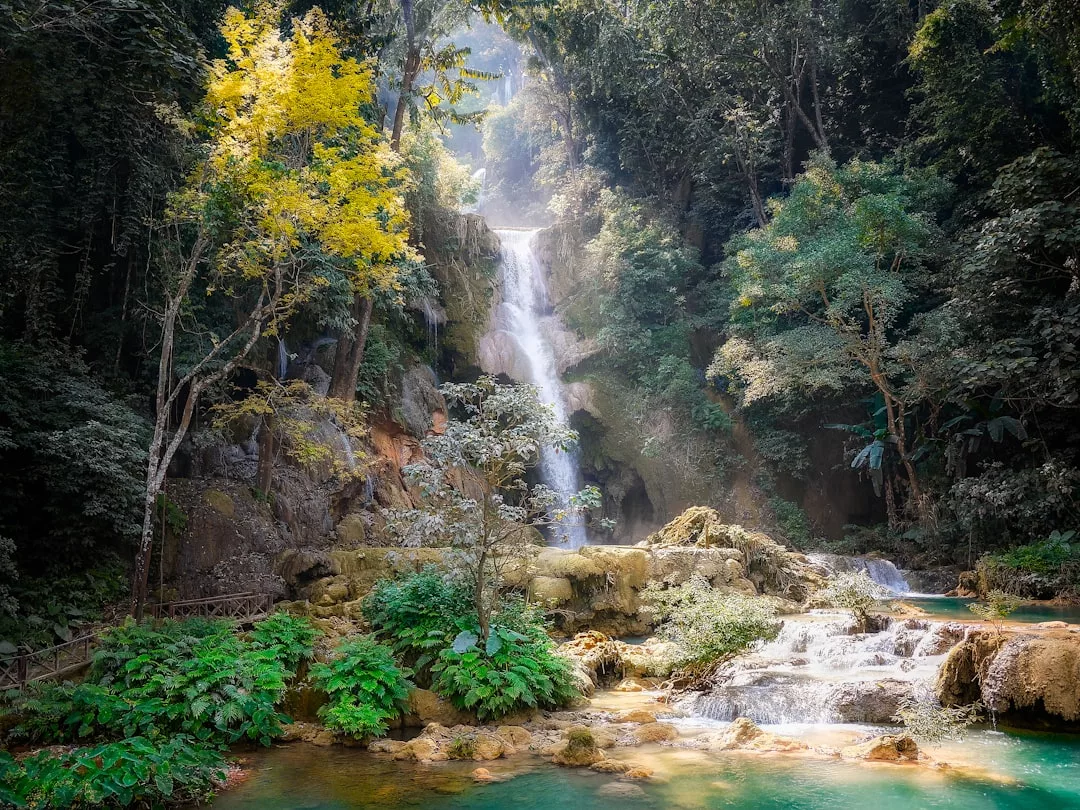Auf Mallorca stürzt ein Wasserfall über Felsen, umgeben von dichtem grünem Laub und Bäumen, wobei das Sonnenlicht durch das Blätterdach des Waldes fällt.