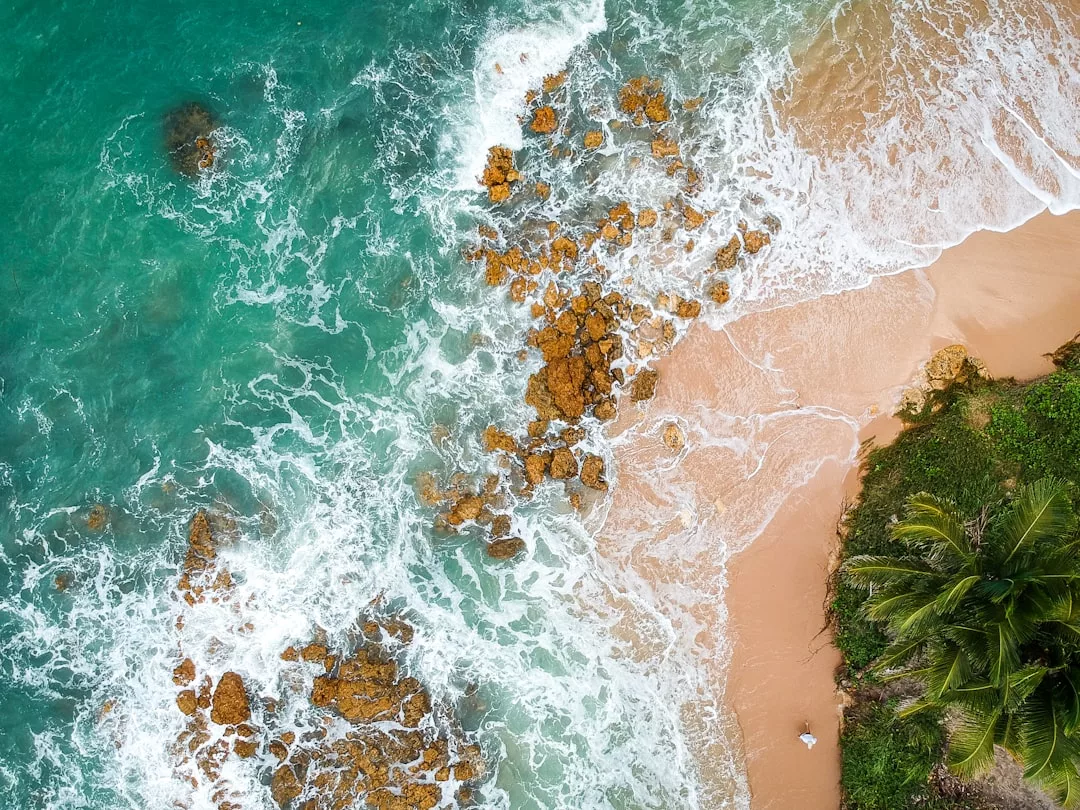 Luftaufnahme von türkisfarbenen Meereswellen, die über Felsen und Sandstrand auf Mallorca schwappen, mit grünen Palmen entlang der Küste.