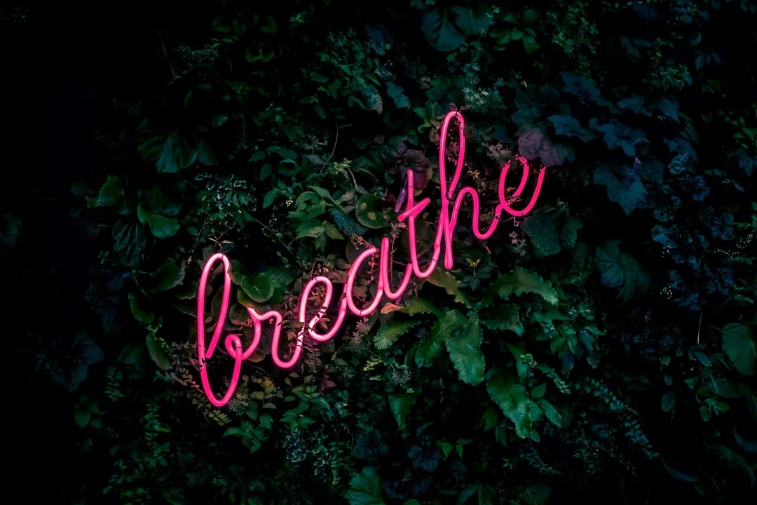 Ein rosa Neonschild mit der Aufschrift „Breathe“ ist vor einem grünen Blatthintergrund angebracht und erinnert an die entspannte Atmosphäre Mallorcas.