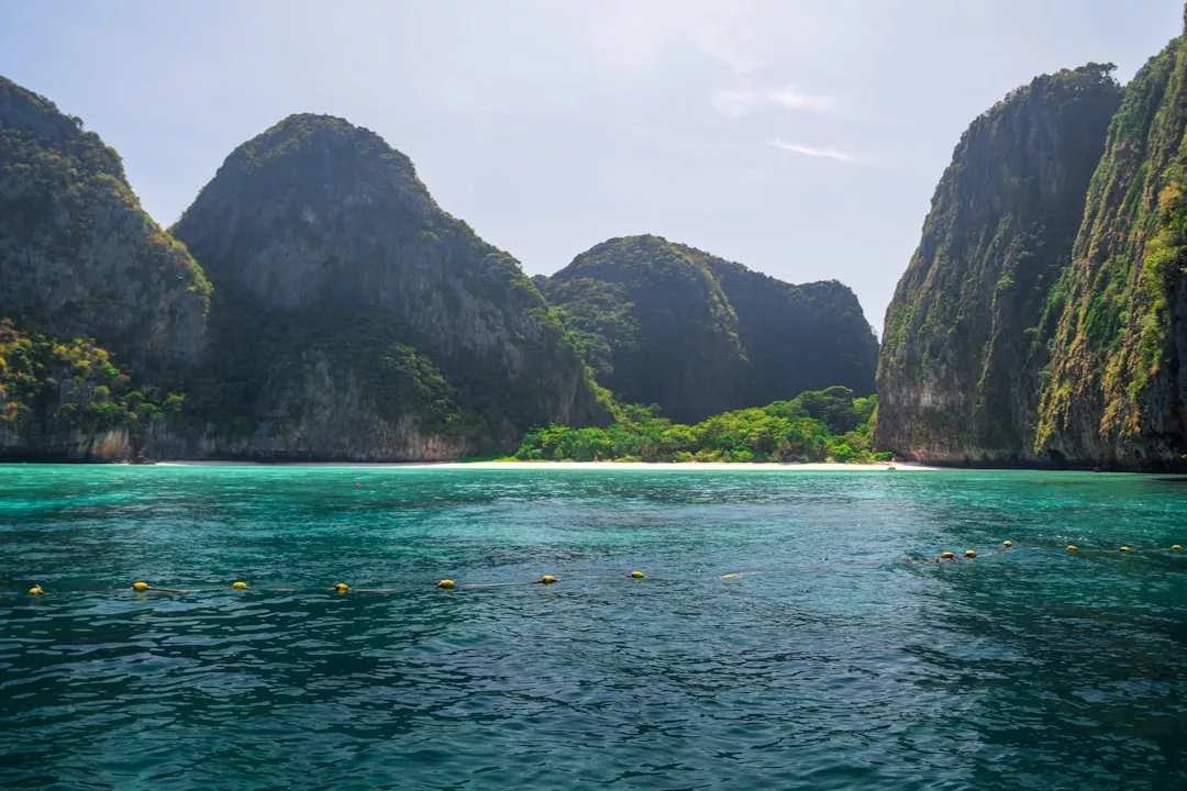 Klares blaues Wasser mit schwimmenden Bojen im Vordergrund, ein Sandstrand, üppig grüne Bäume und hohe Felsklippen im Hintergrund unter einem strahlenden Himmel – eine idyllische Szene, die an die atemberaubende Küste Mallorcas erinnert.