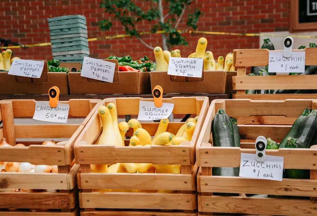 Auf einem Freiluftmarkt auf Mallorca werden Holzkisten mit gelbem Sommerkürbis, Zucchini und Paprika ausgestellt, jede mit handgeschriebenen Preisschildern versehen.