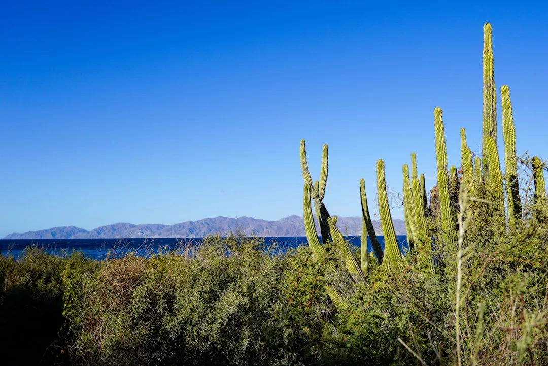 Photo Scenic trail