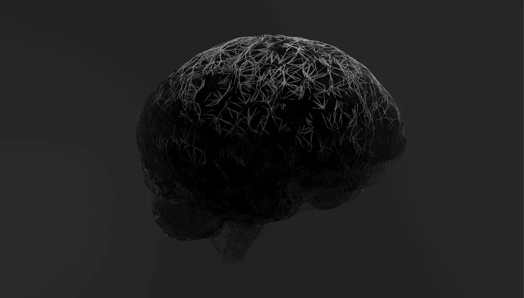 Photo Brain training
