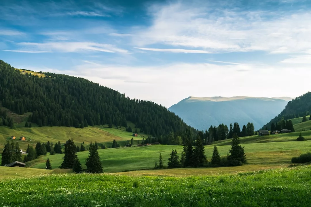 Sanfte grüne Hügel mit vereinzelten Pinien, Holzhütten und den Bergen Mallorcas in der Ferne unter einem teilweise bewölkten blauen Himmel.