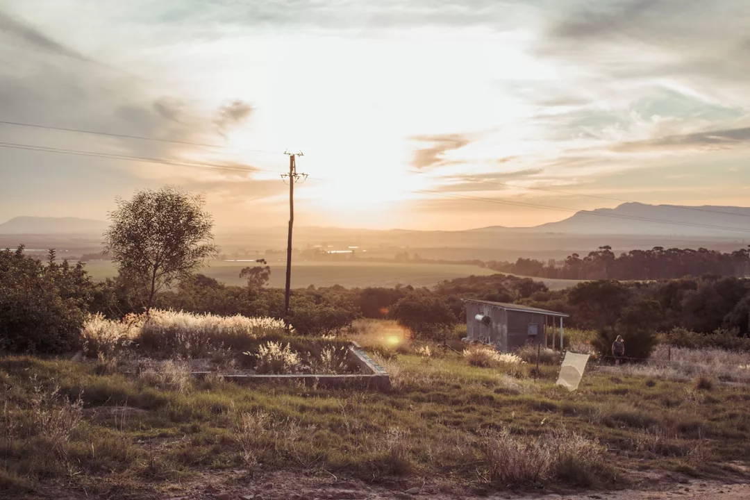 Eine ländliche Landschaft auf Mallorca bei Sonnenuntergang mit einem kleinen Schuppen, einer Wiese, Stromleitungen und Bergen in der Ferne unter einem teilweise bewölkten Himmel.