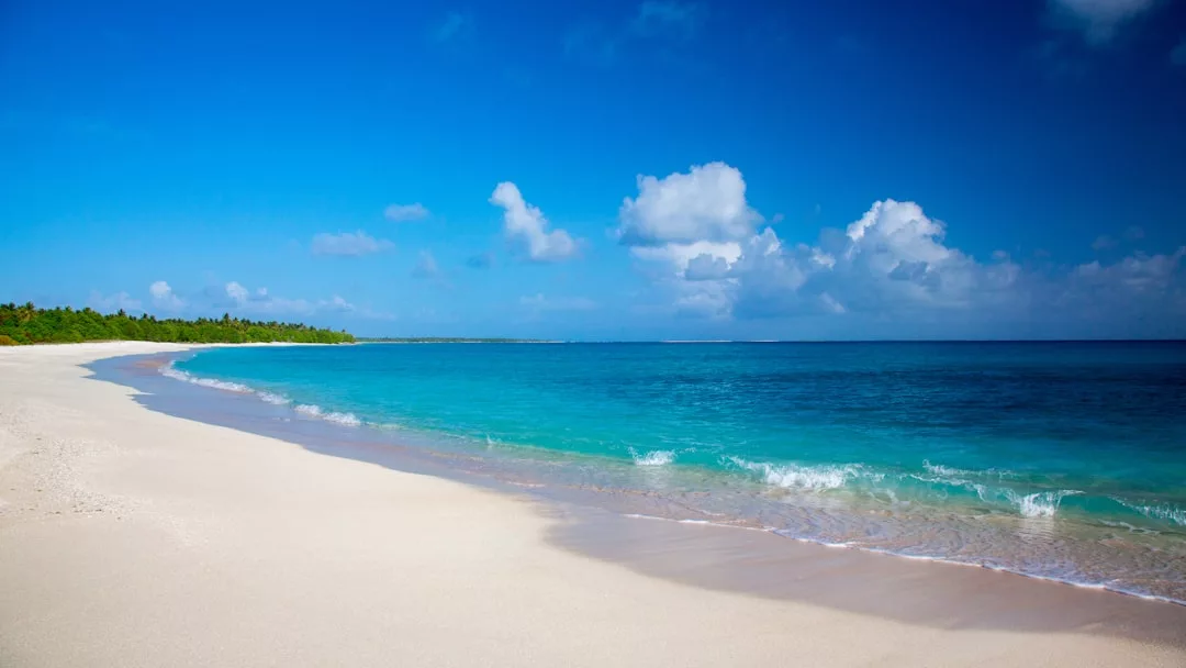 Weißer Sandstrand mit sanften Wellen und klarem, blauem Wasser unter einem strahlenden Himmel mit vereinzelten Wolken. Bäume säumen die ferne Küste und fangen die ruhige Schönheit Mallorcas ein.