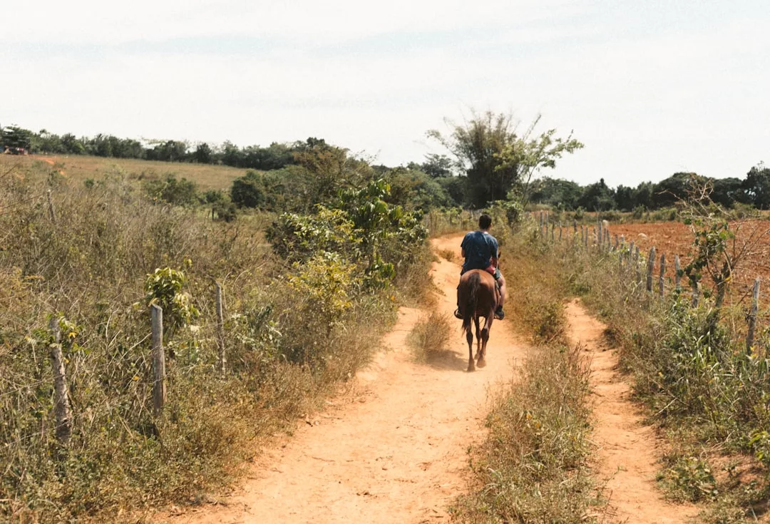 Photo Horseback riding