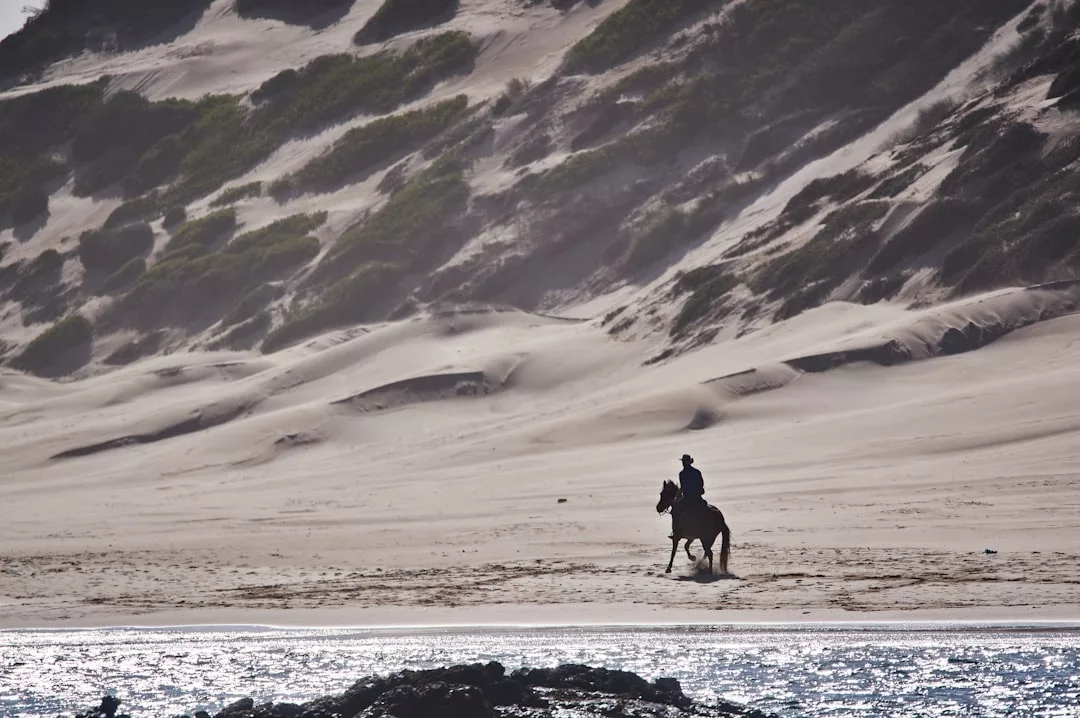 Eine Person reitet auf einem Pferd an einem Sandstrand auf Mallorca entlang, im Hintergrund sind große Sanddünen und spärliche Vegetation zu sehen.