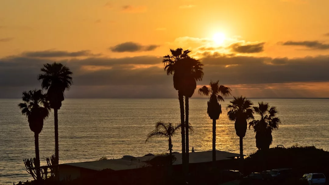 Sonnenuntergang über dem Meer auf Mallorca, mit Silhouetten von Palmen und einigen Gebäuden im Vordergrund.