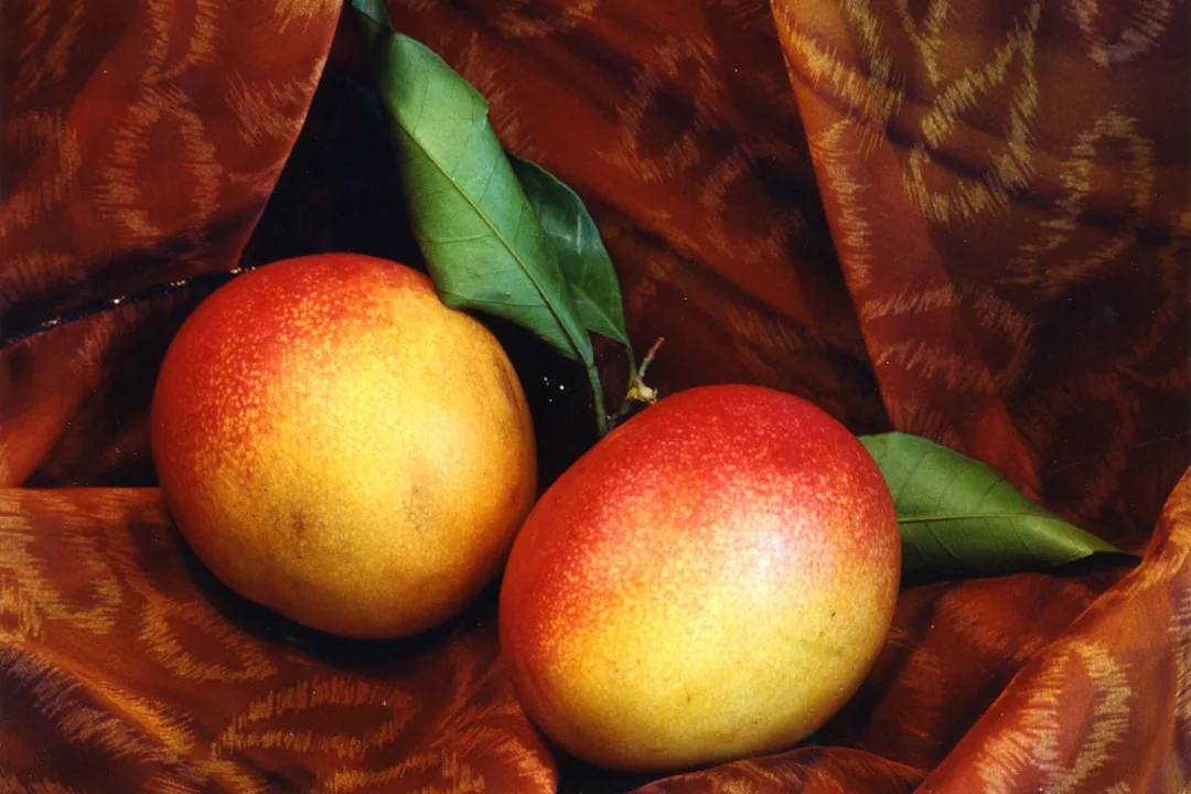 Photo Colorful fruits