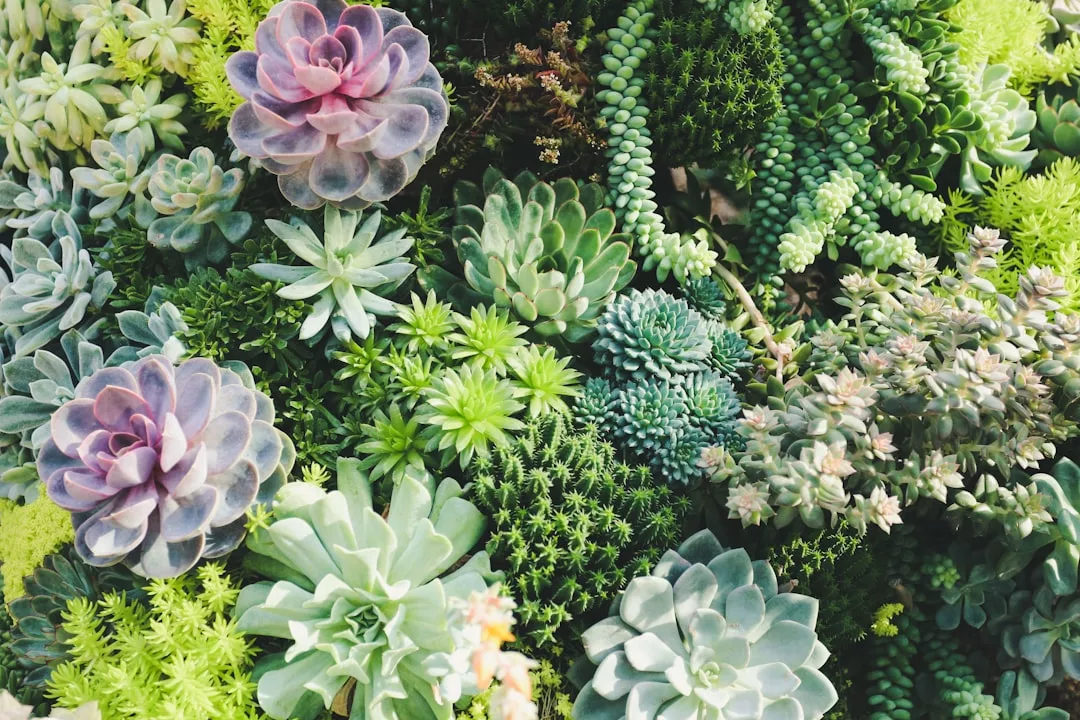 Photo Garden design