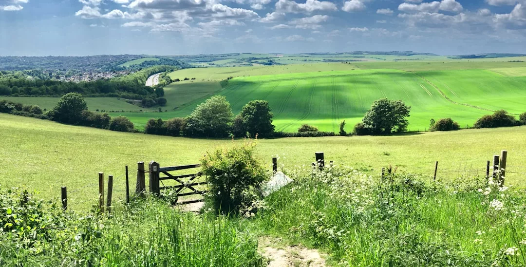 Ein Holztor öffnet sich zu einem grünen Feld mit sanften Hügeln, vereinzelten Bäumen und einer kurvenreichen Straße unter einem teilweise bewölkten Himmel, der an die ruhigen Landschaften Mallorcas erinnert.