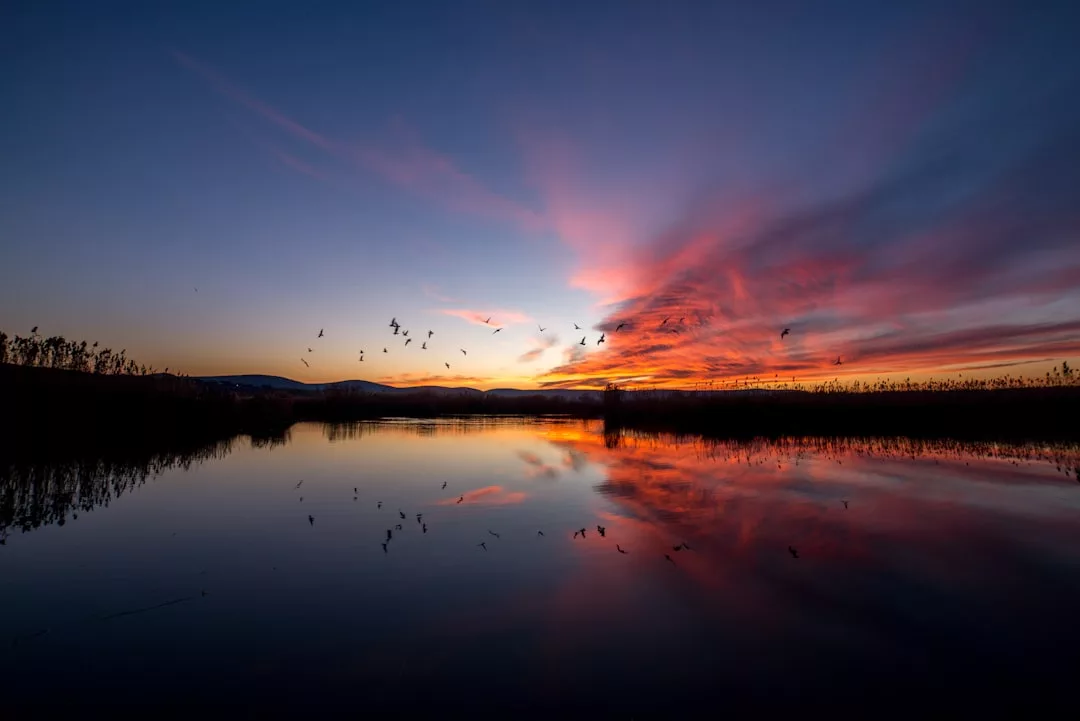 Ein ruhiger See auf Mallorca spiegelt einen farbenfrohen Sonnenuntergangshimmel mit Wolken und fliegenden Vögeln wider, umgeben von den Silhouetten ferner Hügel und Schilf.